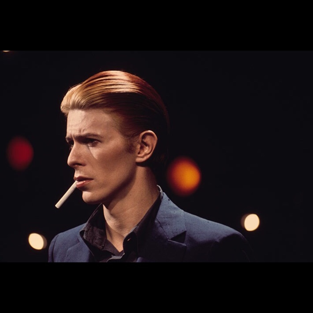 Meet your Posher, Luis